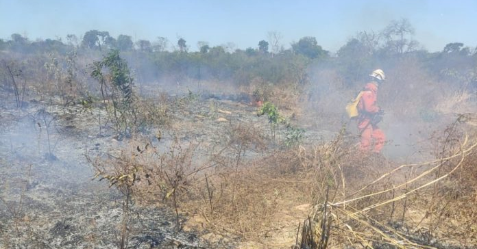 Brigada Florestal ICMBio